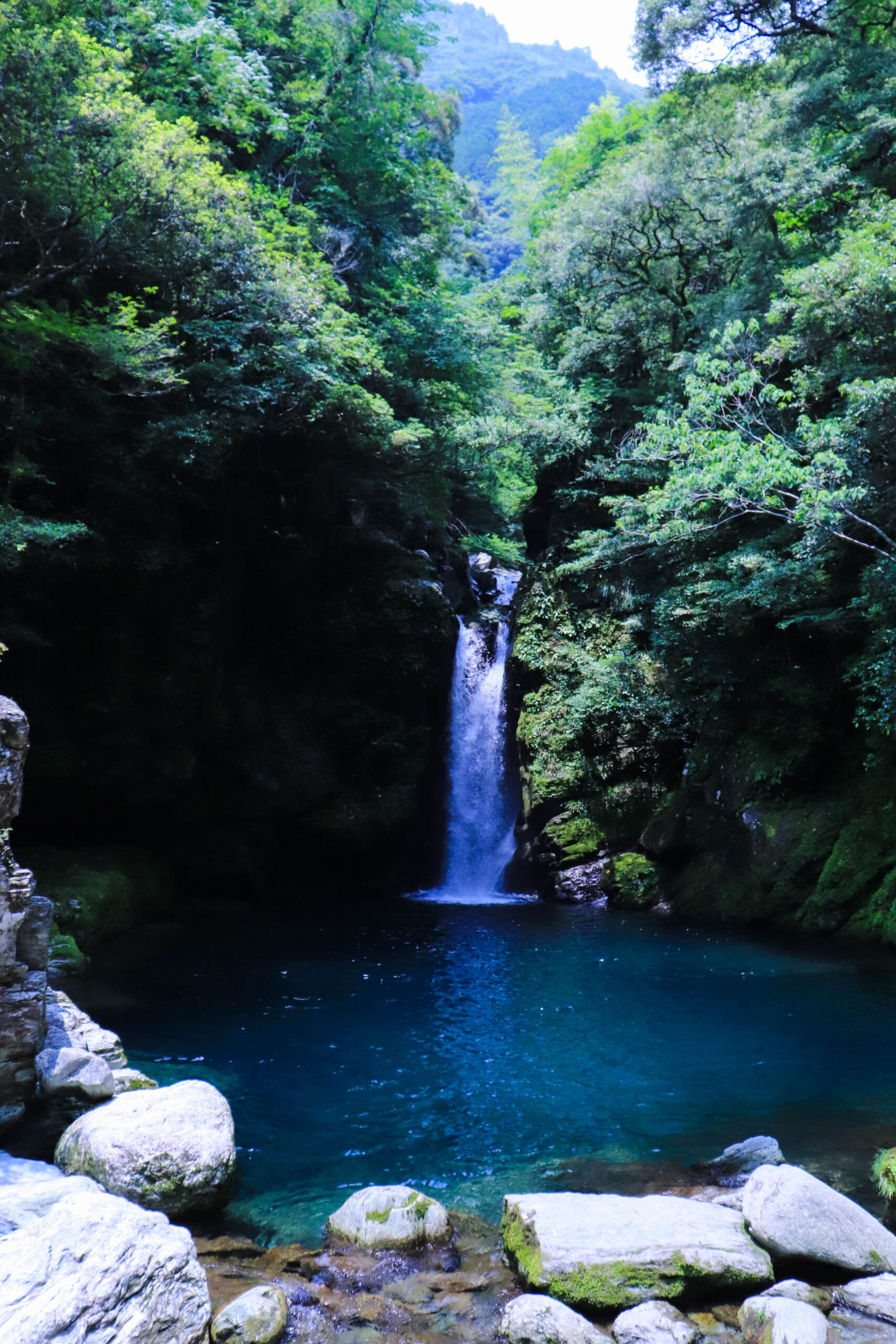 木々に囲まれたにこ淵の青い滝壺と細く流れ落ちる滝