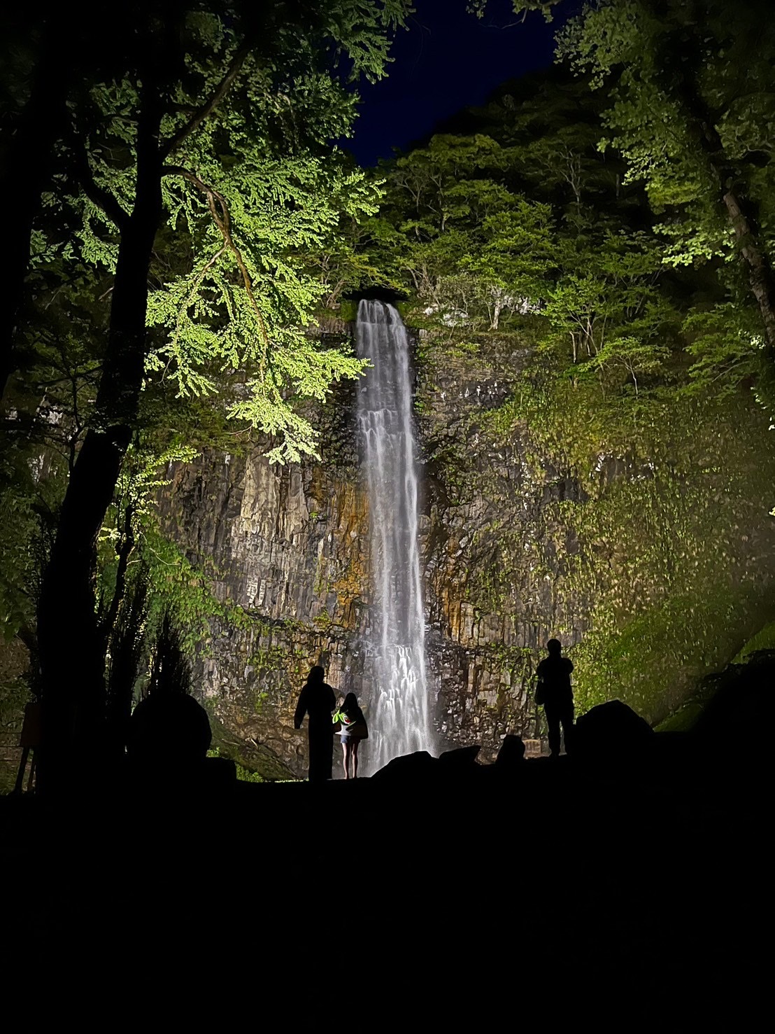 夜の玉簾の滝で、白い水の流れと周囲の岩壁や木々が照らされた様子