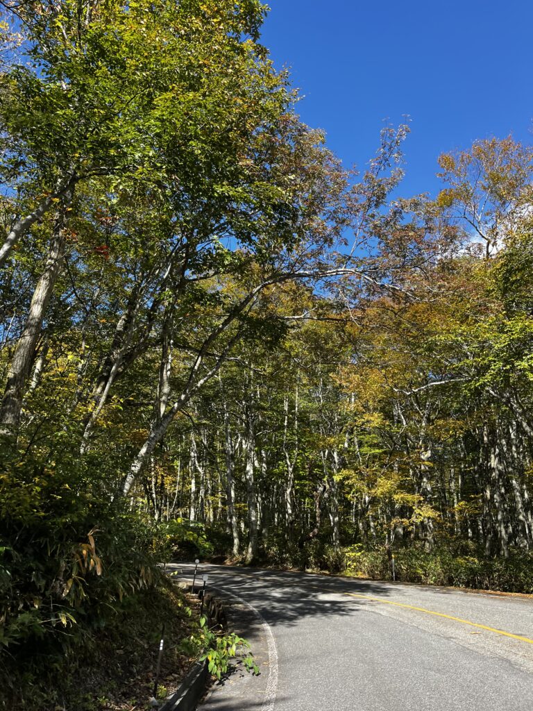 青空の下で色づき始めた大山周辺の木々