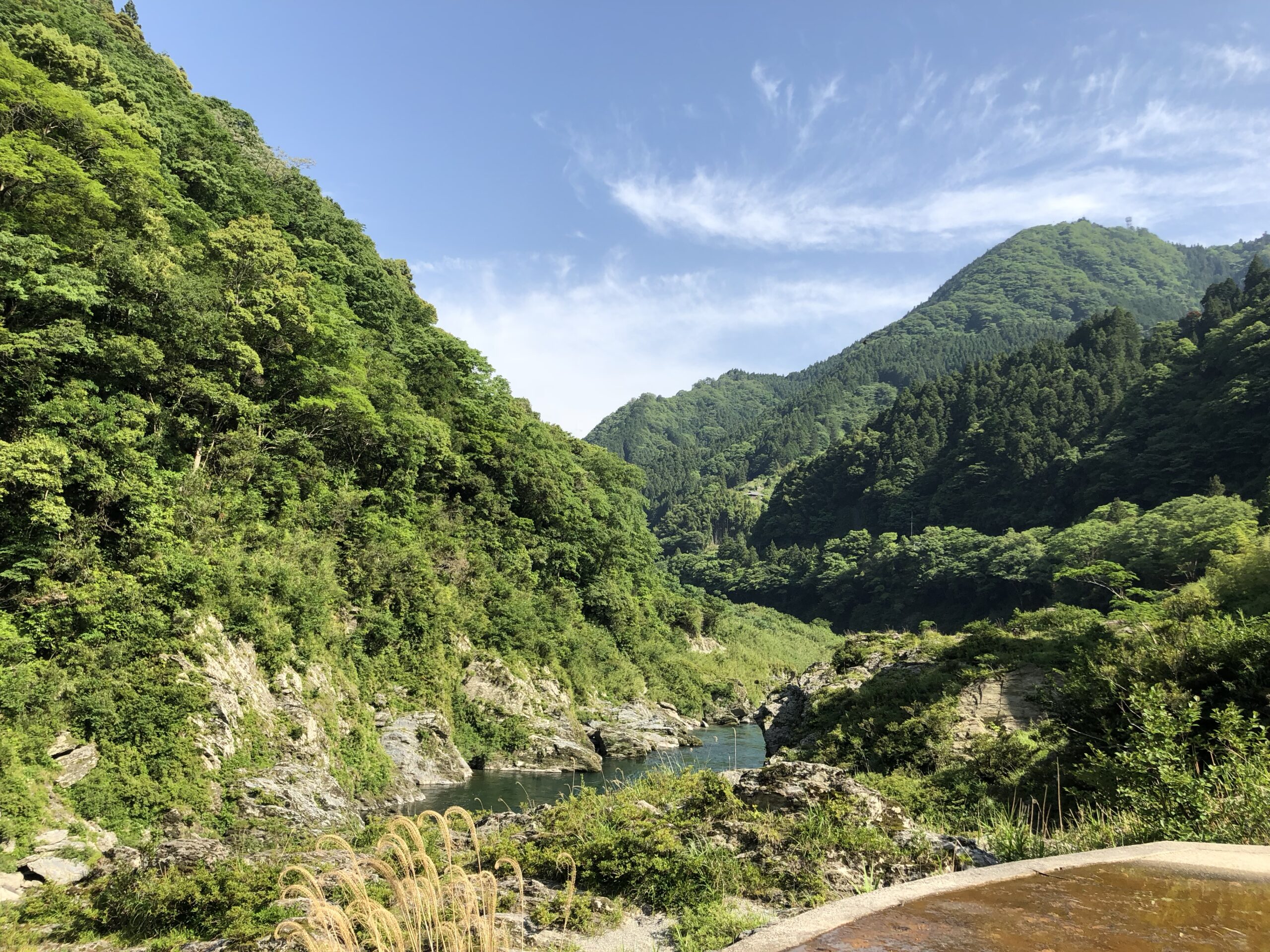 大歩危の渓谷に見える川と岩場、周囲の緑