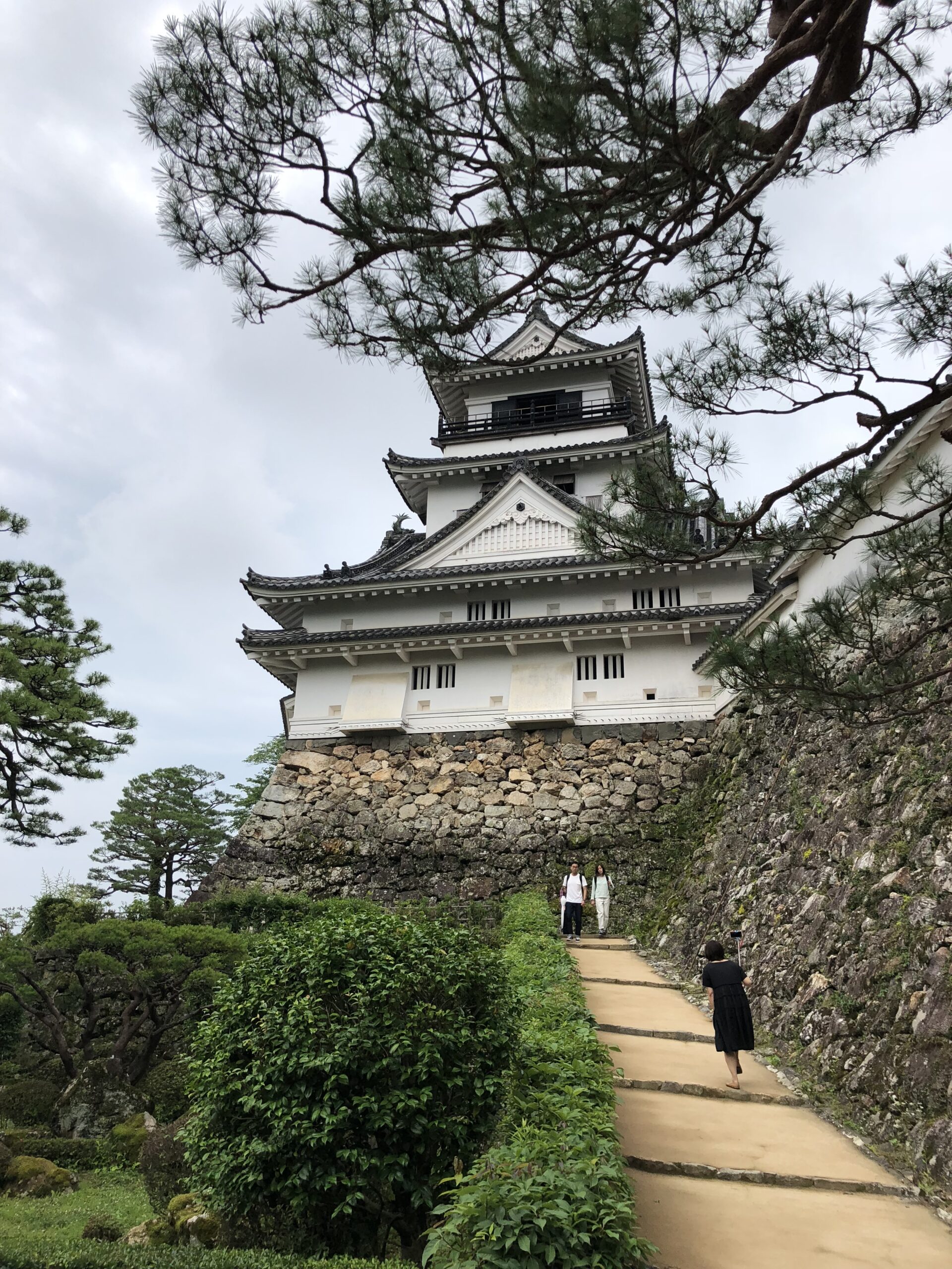 石垣と石段の上に建つ高知城の白い天守