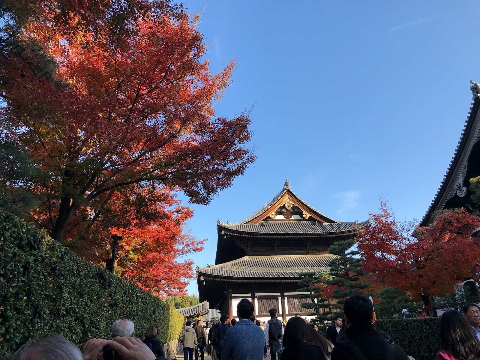 東福寺の瓦屋根の建物と、青空に広がる紅葉