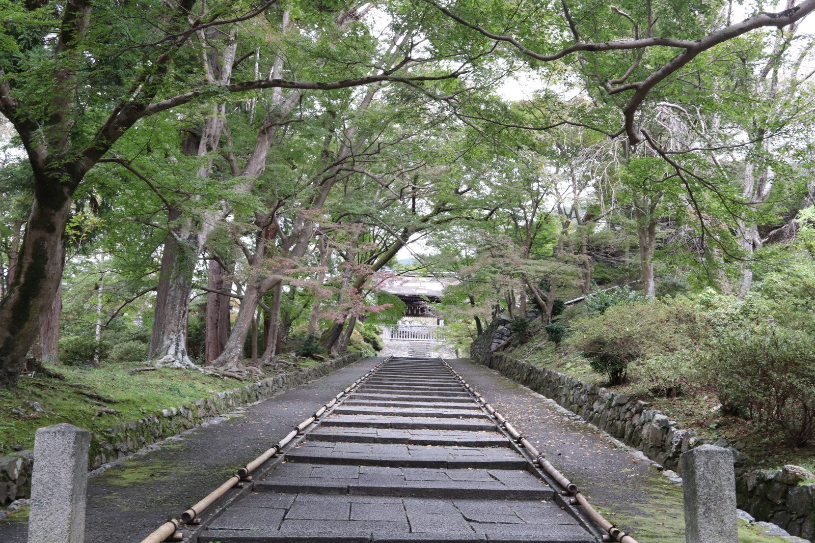 毘沙門堂で撮影した緑の木々に囲まれる石段の参道