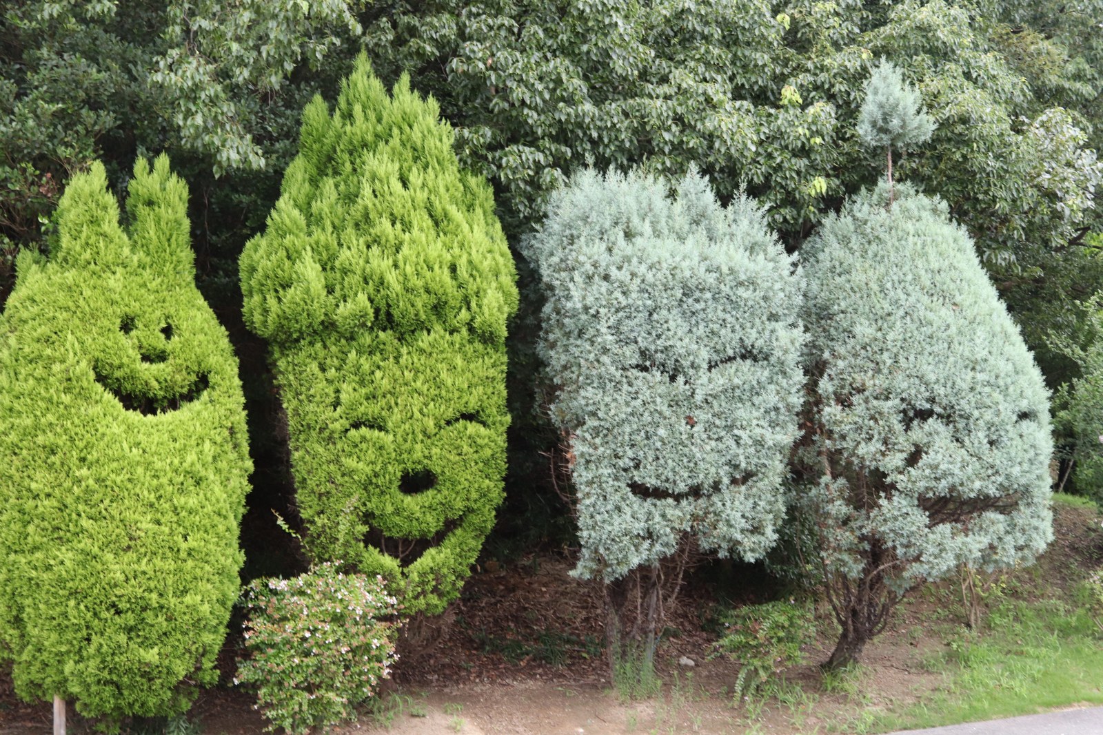 顔の形に刈り込まれた園内の植木