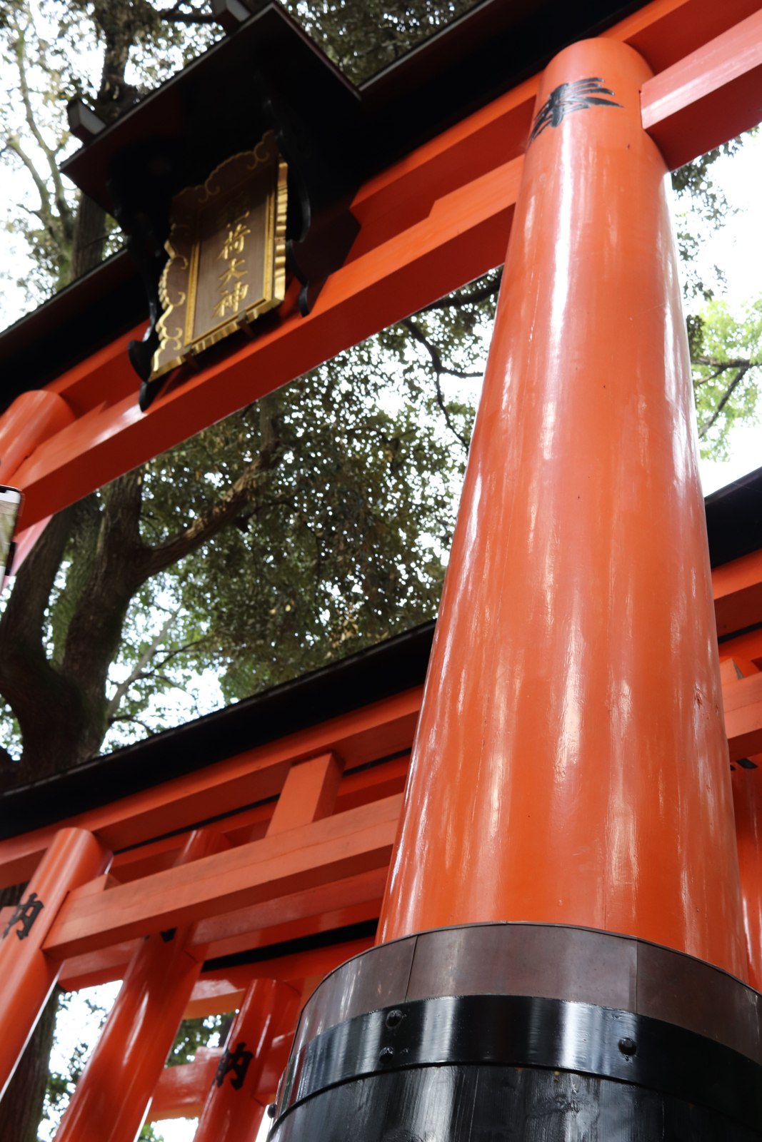 伏見稲荷大社の鳥居の柱と額を見上げた景色