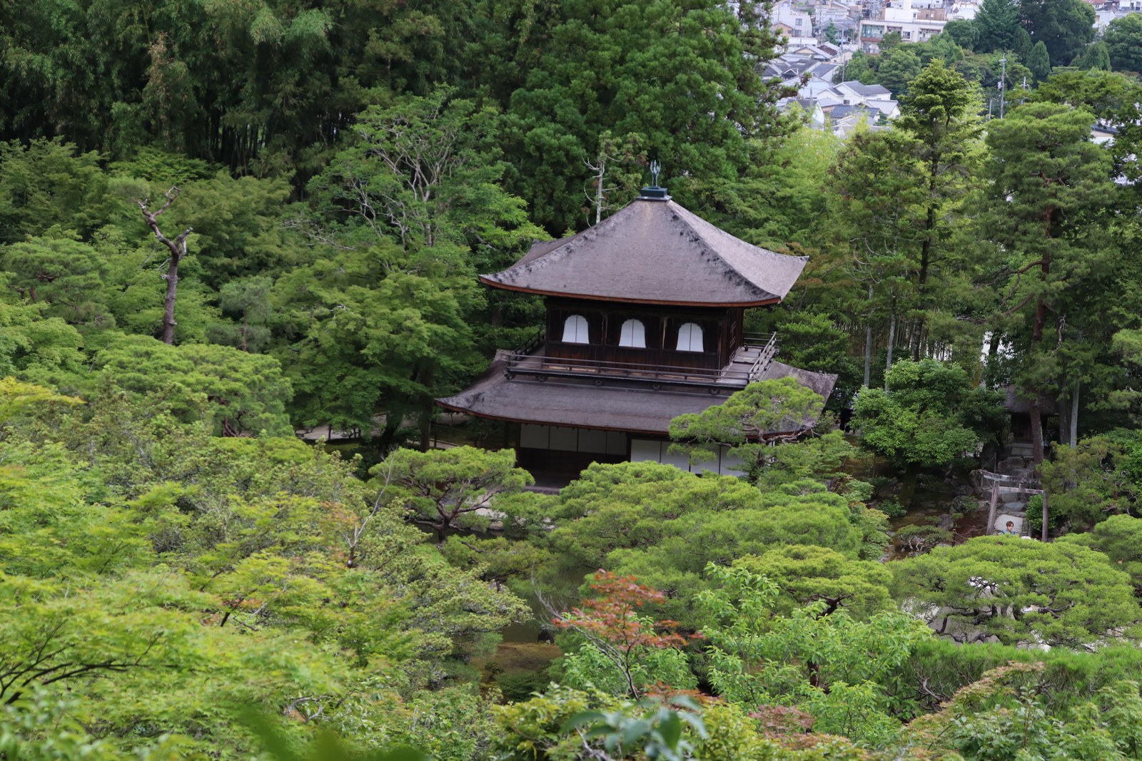 高い場所から望む銀閣寺の観音殿と京都の町並み