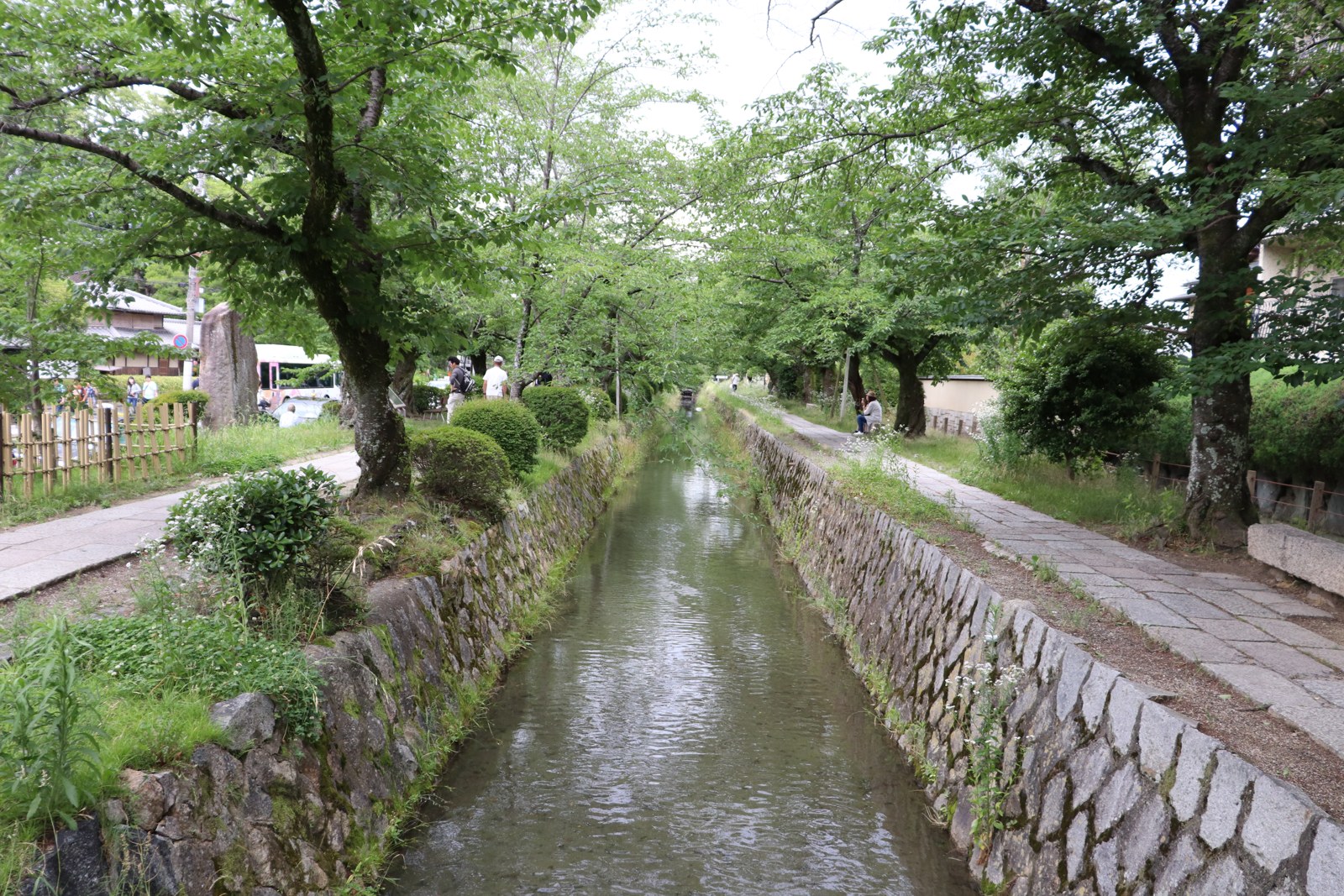 銀閣寺周辺で撮影した水路と緑の並木