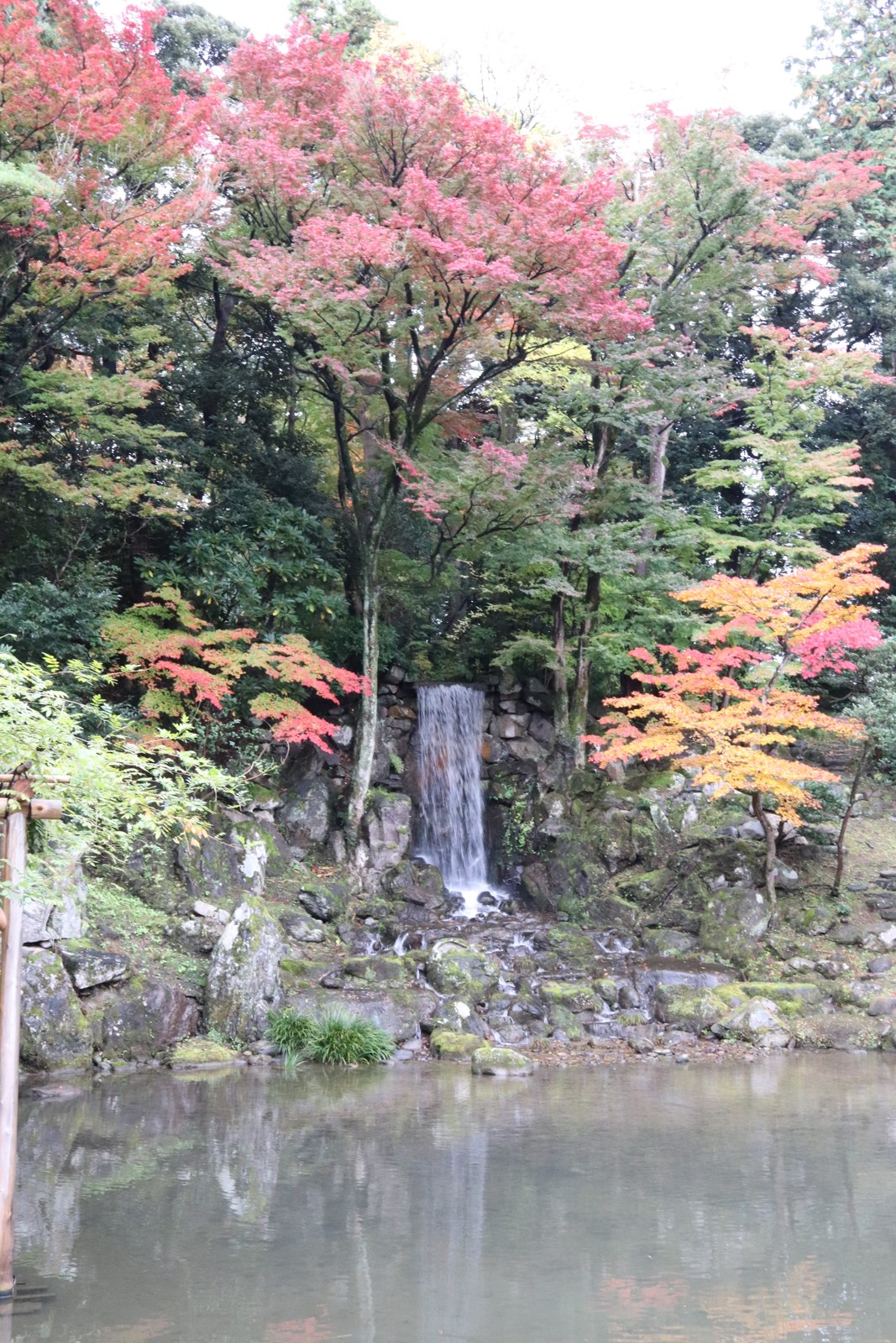 滝と石組みの周りで赤や黄色に色づく兼六園の木々
