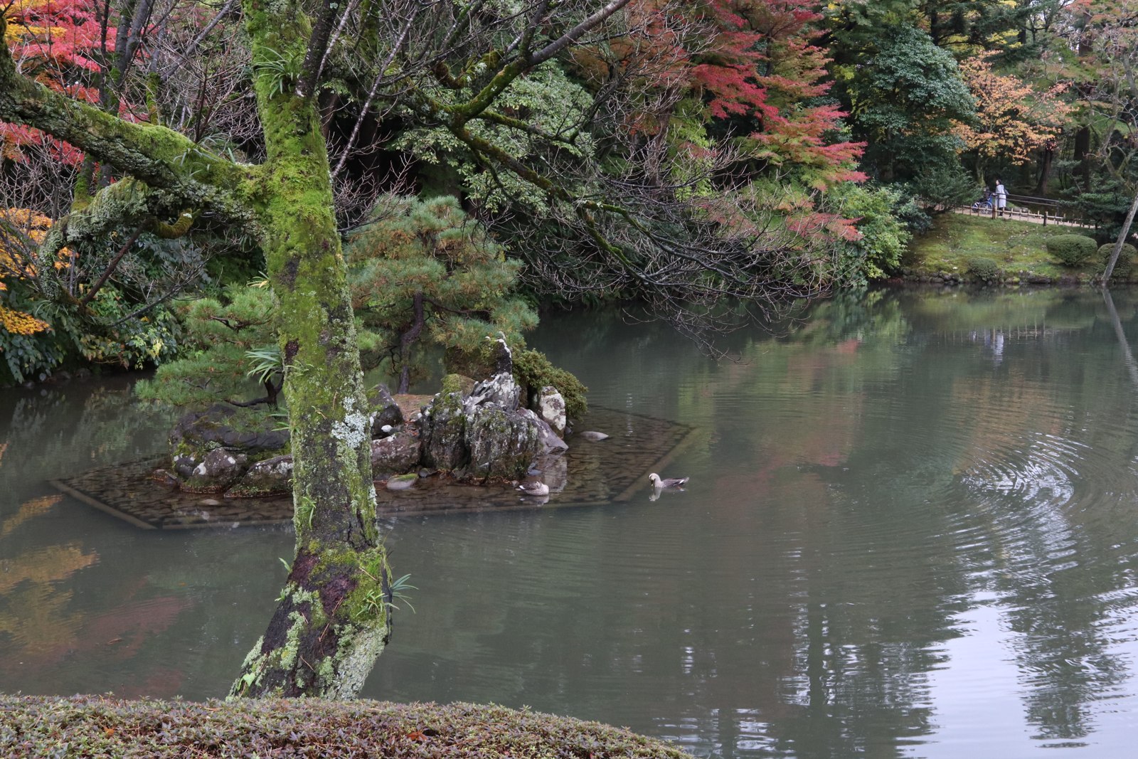 兼六園の池に映る木々と石組み