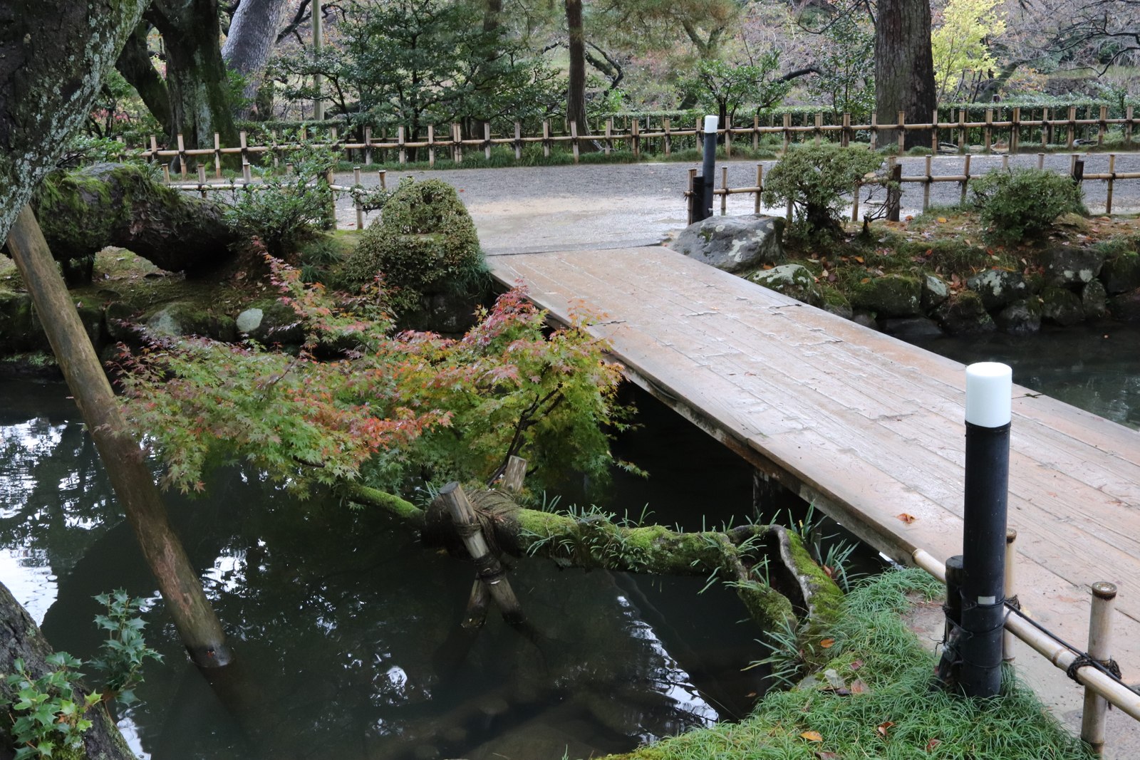兼六園の水辺に架かる橋と周囲の苔や木々