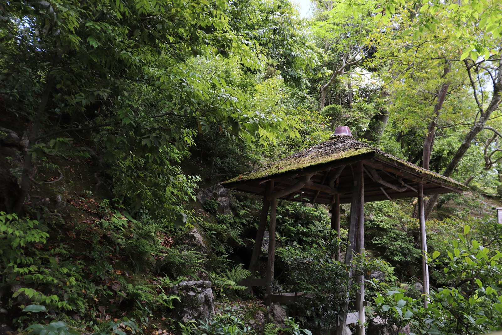 金閣寺の木立の中にある小さな屋根付きの建物