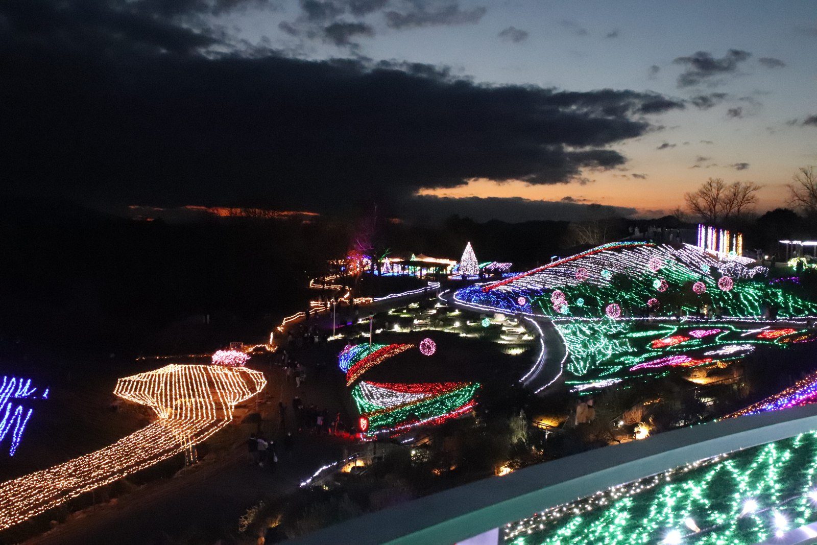 夕空の下に広がるまんのう公園のイルミネーション