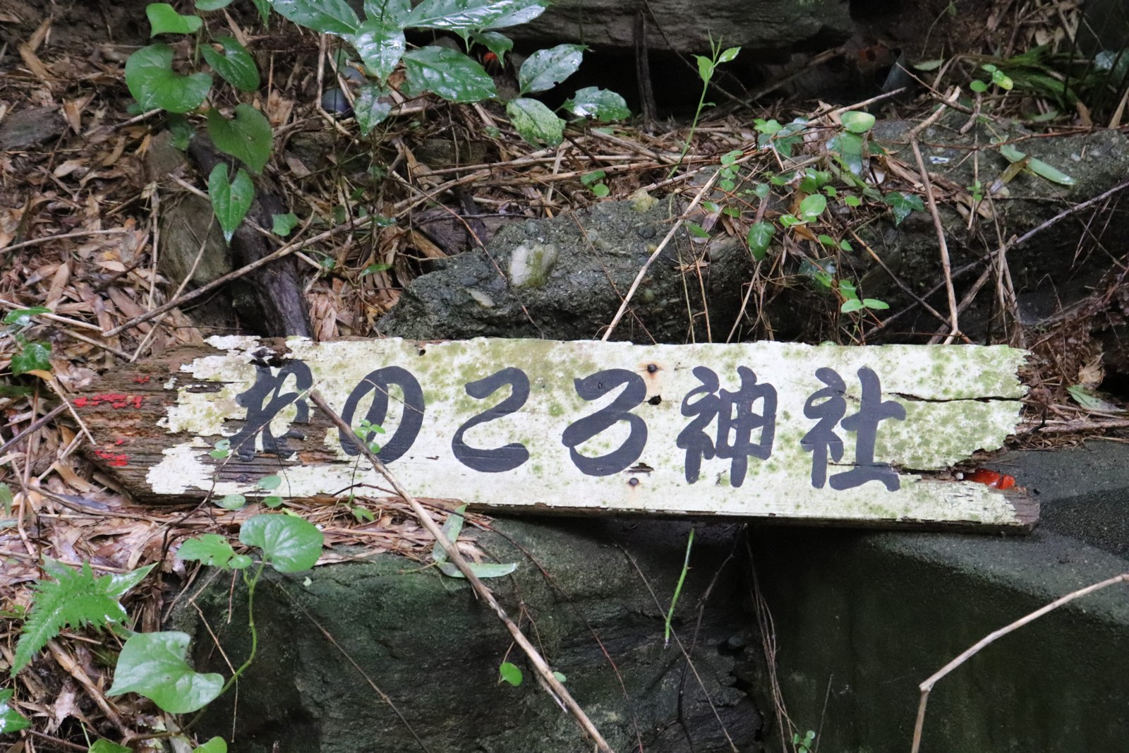 草木のそばに置かれたおのころ神社の案内板