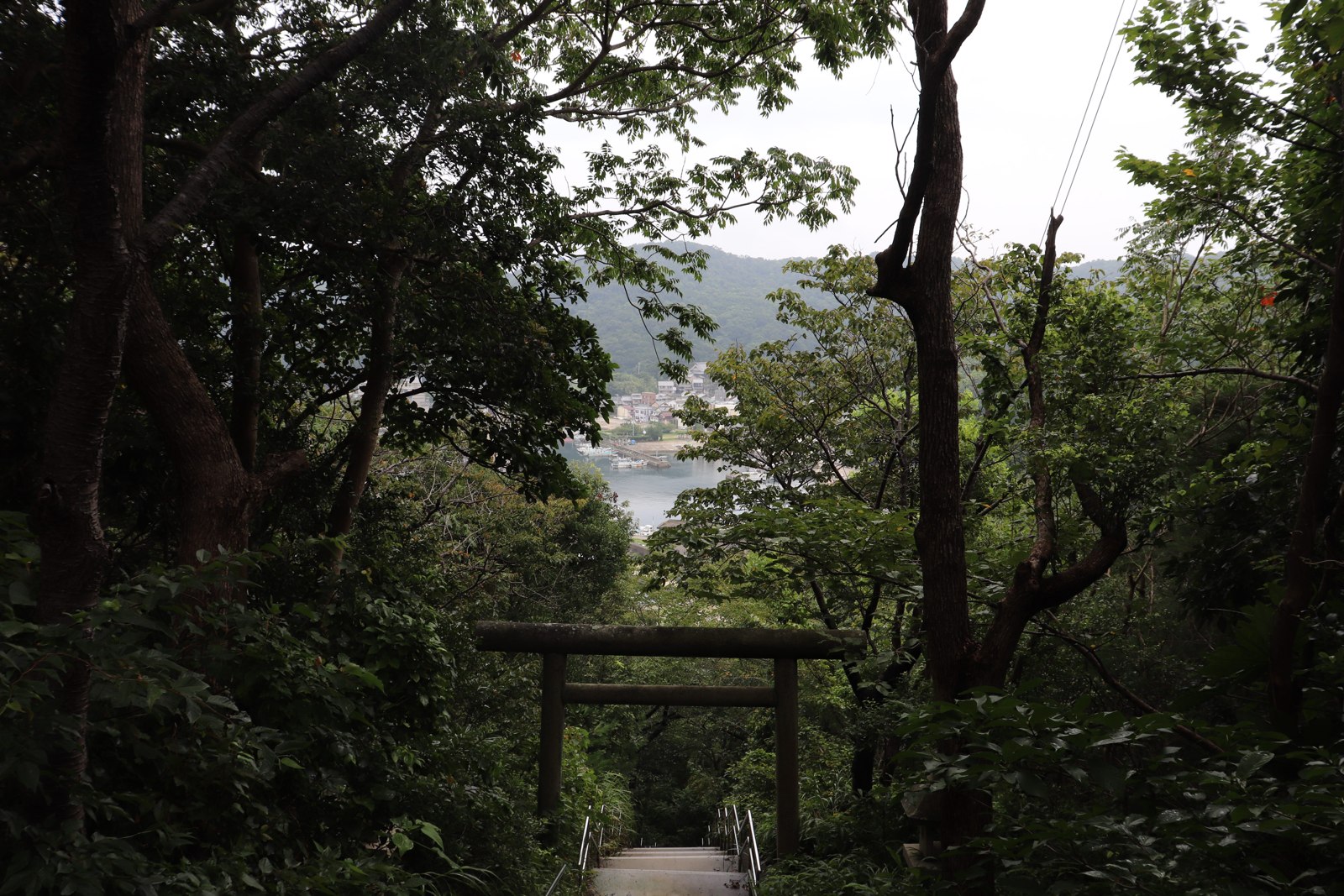 おのころ神社周辺の木々の間から見える沼島の町と海
