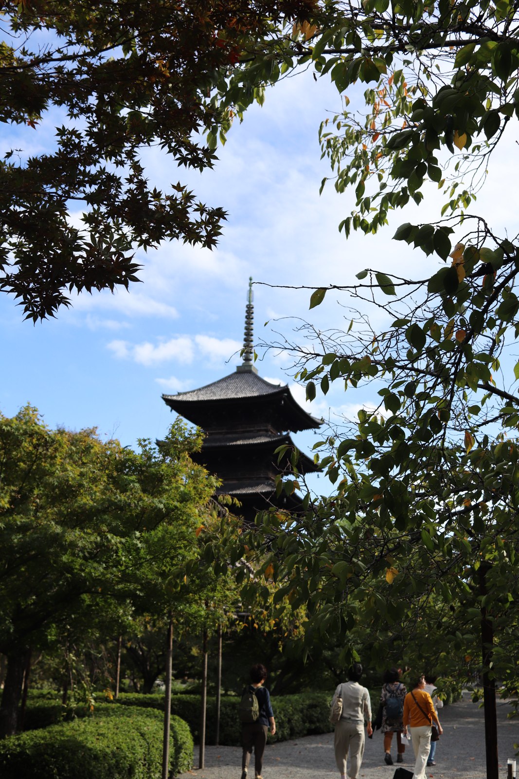 枝葉の間に五重塔が見える東寺境内の道と歩く人々