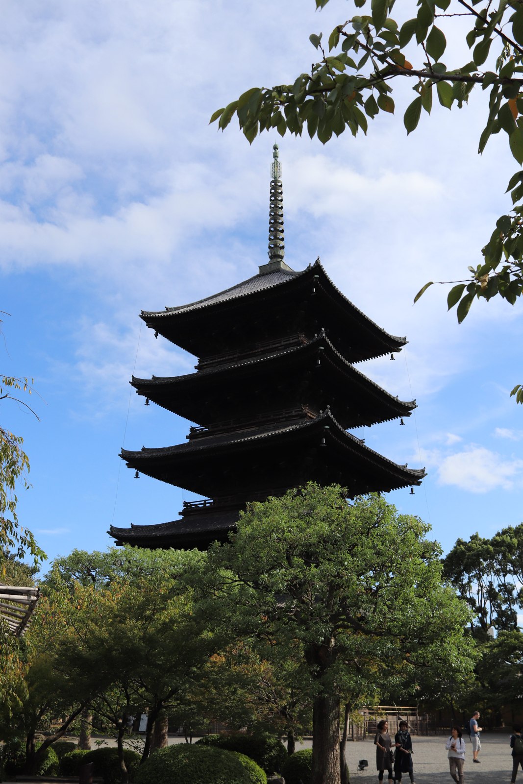 緑の木々の向こうに建つ東寺の五重塔を、参道から見上げた全景