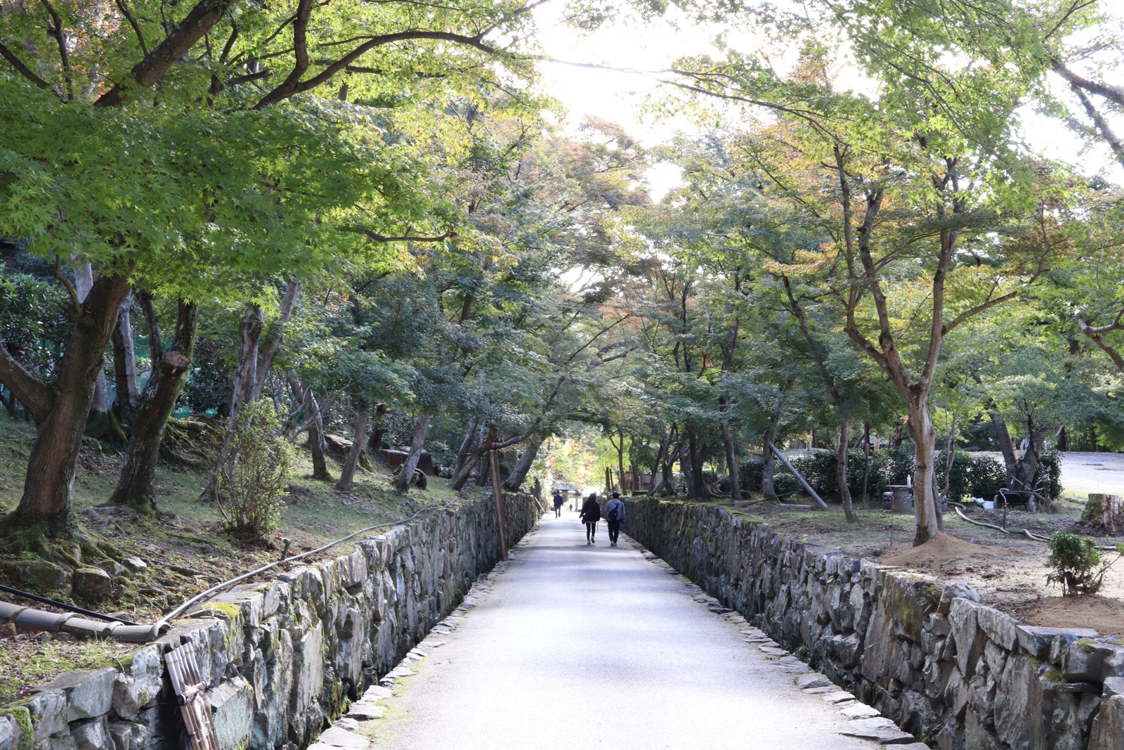 石垣と緑の木々に挟まれ、興聖寺の山門へ続く琴坂